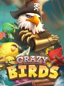 Crazy Birds